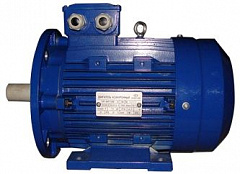 Электродвигатель АИР 100L8